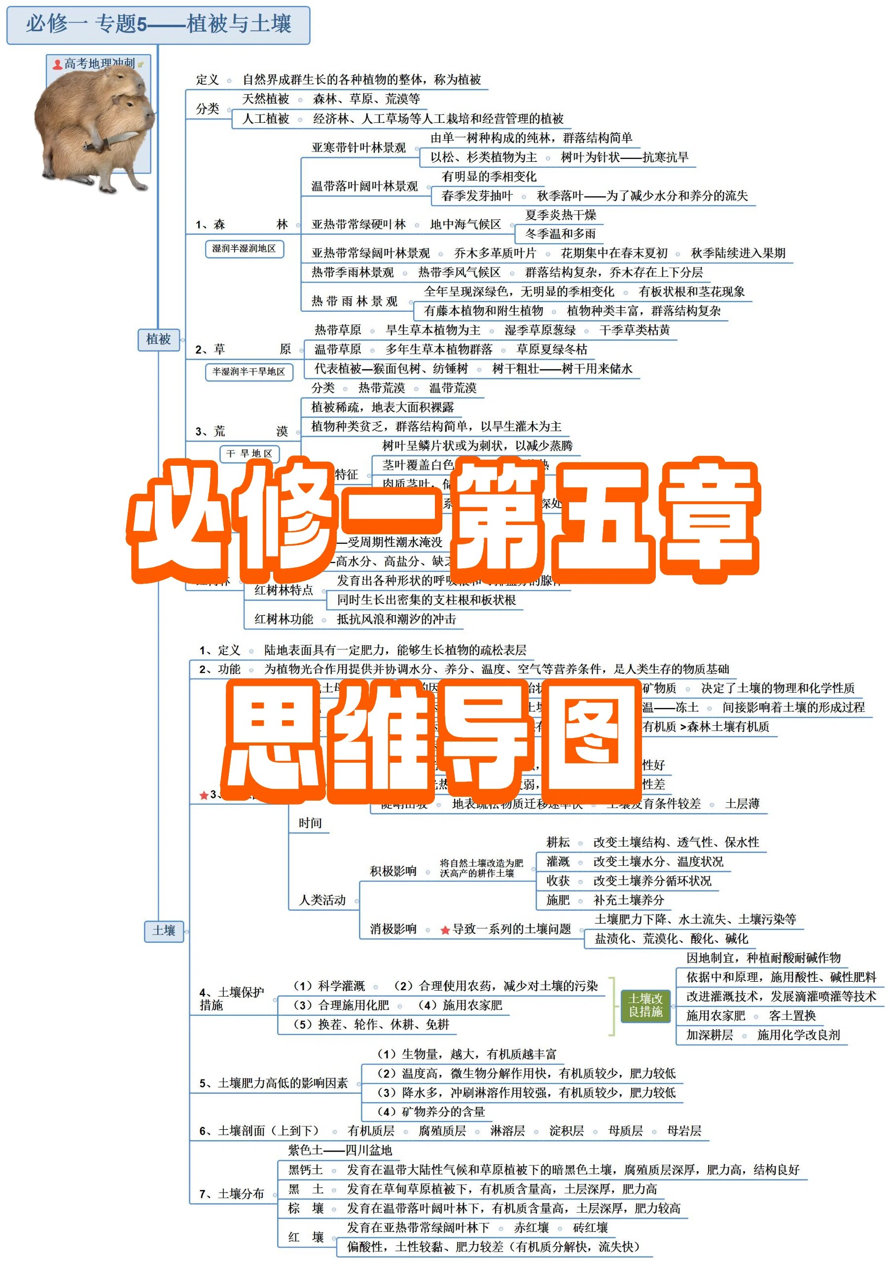 高中地理必修1第5章植被与土壤思维导图