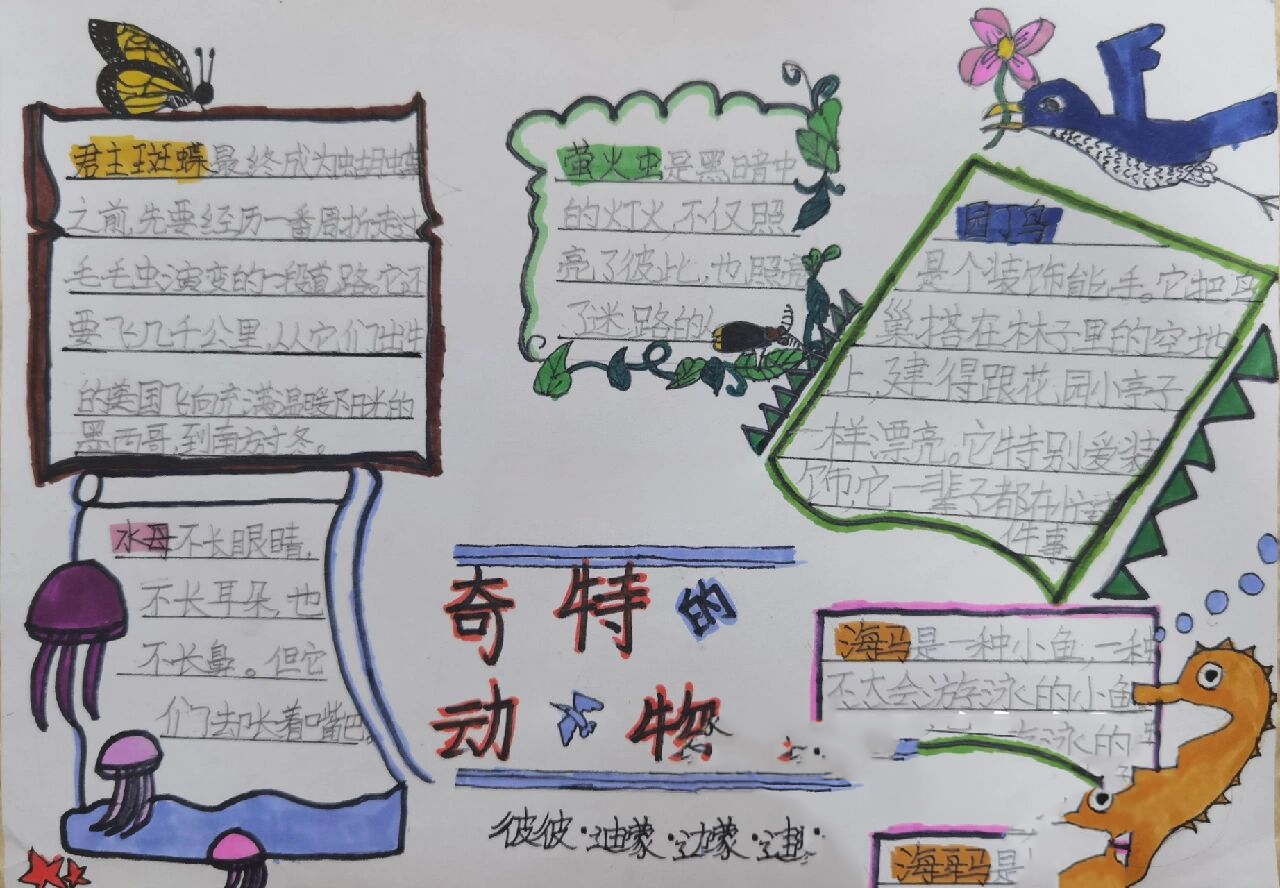 手抄报 读书小报《奇特的动物》二年级