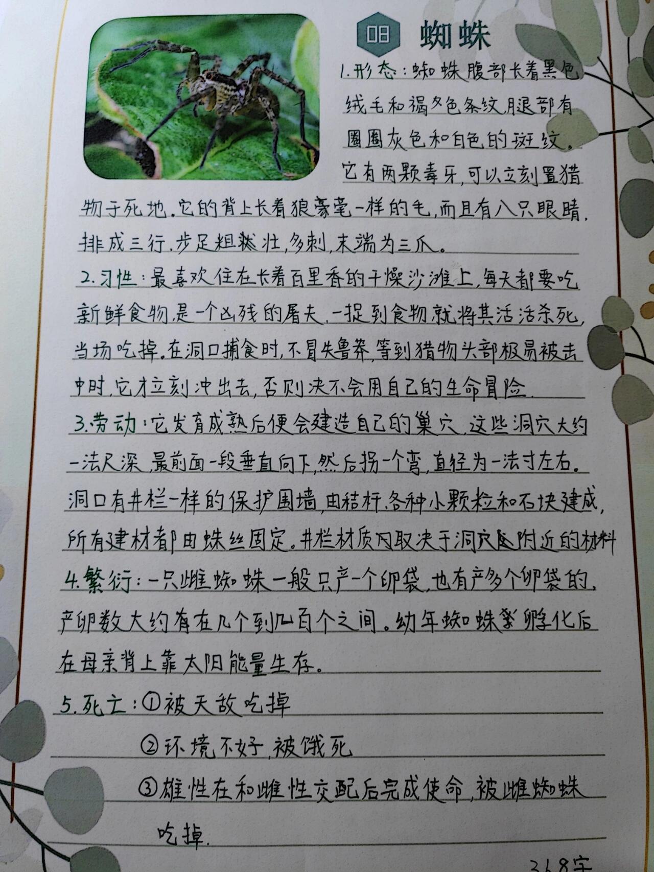 蜘蛛样子描写图片