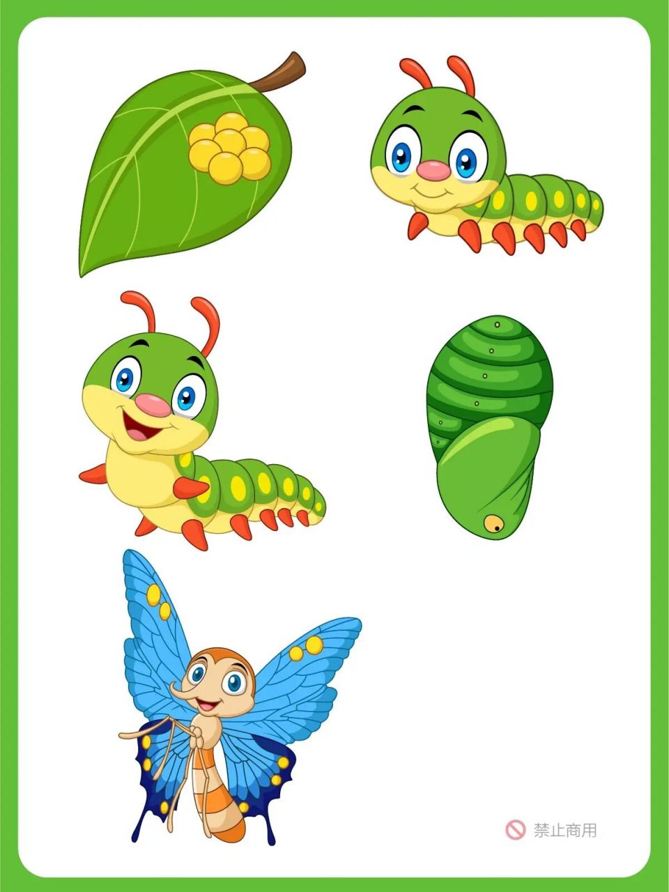 91卡通蝴蝶03演变过程-高清彩绘图 蝴蝶被誉为会飞的花朵,是一种