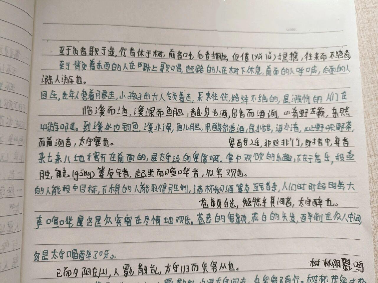 醉翁亭记翻译手写图片