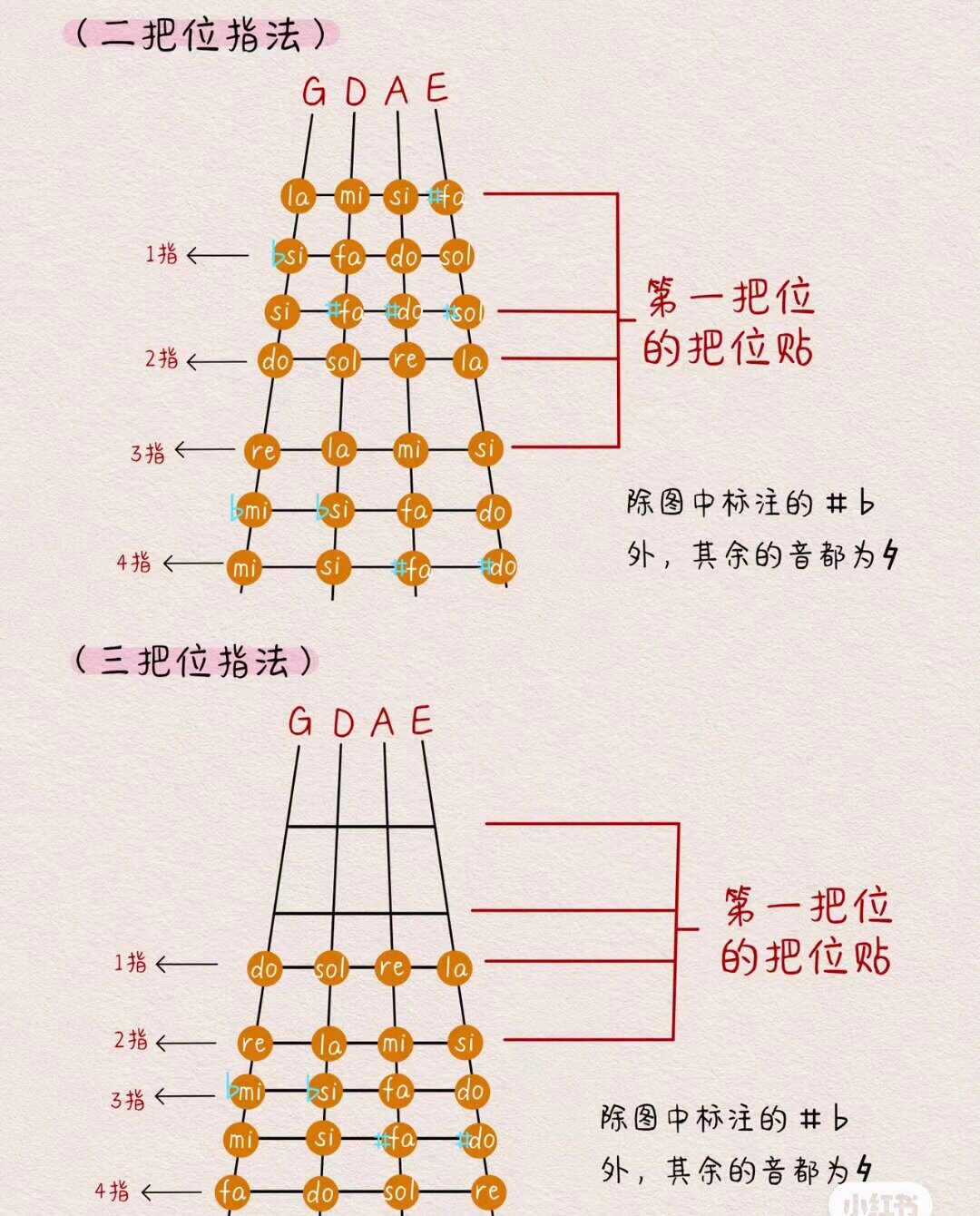 新手自学小提琴看不懂把位贴?四张图秒懂