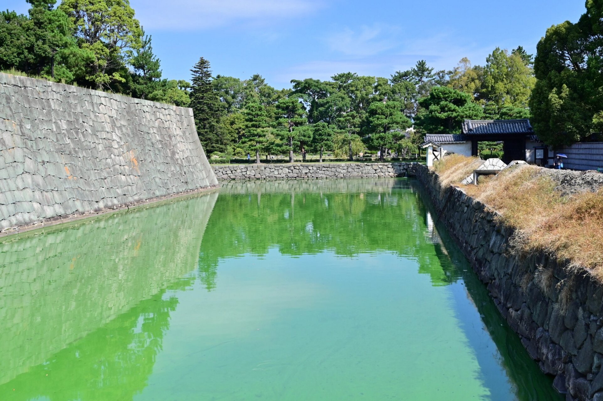 二条城值得看 二条城头次来,门票不便宜,1300,不过觉得非常值.