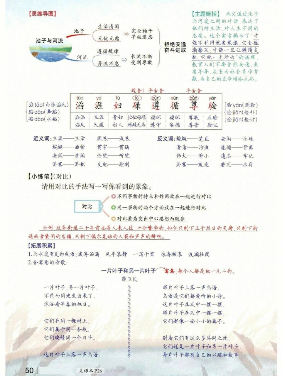 池子与河流课文笔记图片