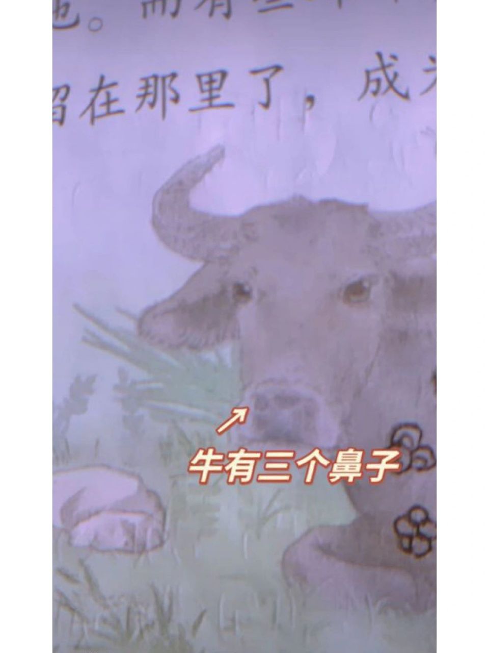 语文书之恐怖秘密