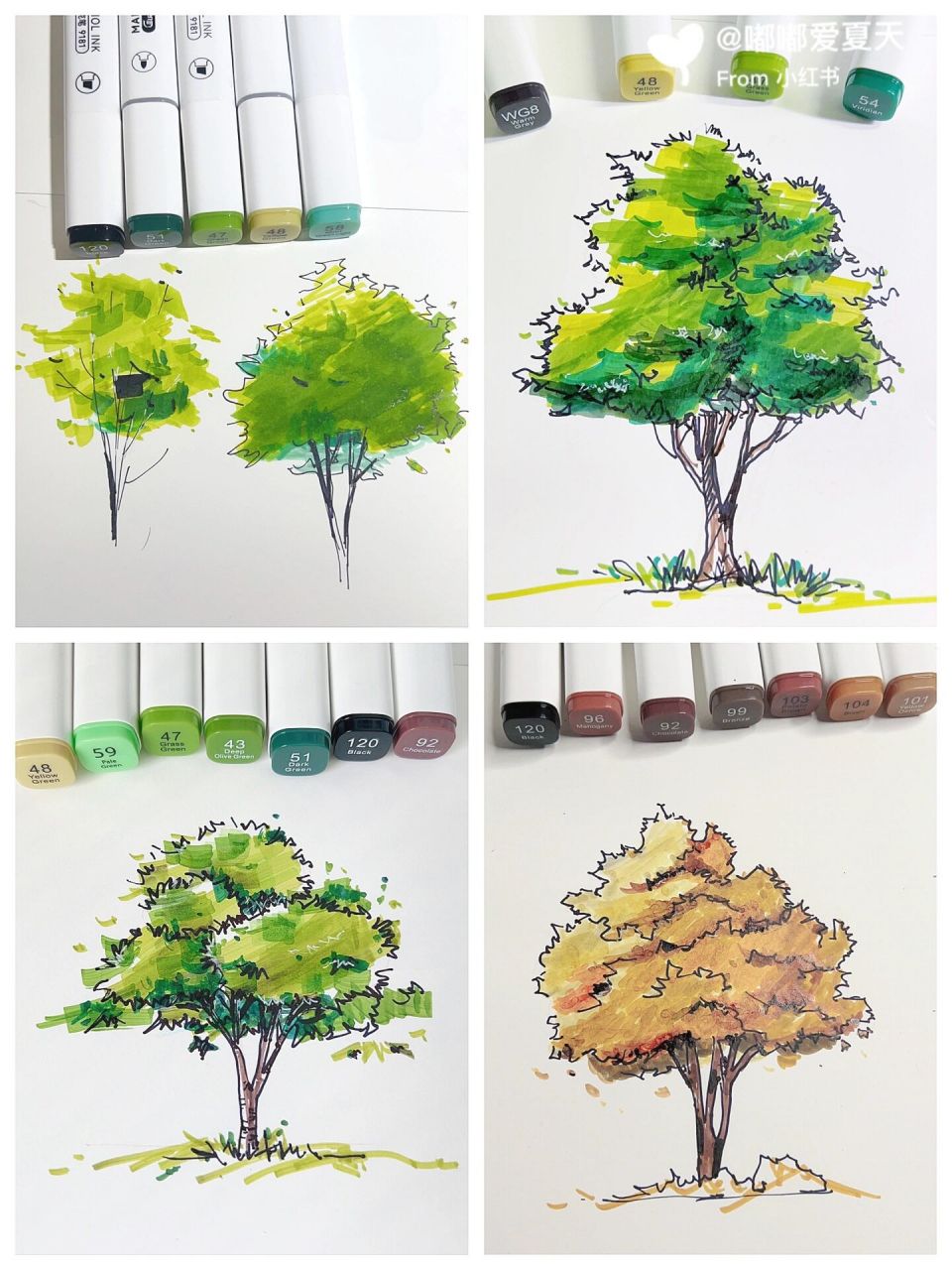 94马克笔|新手入门画一棵树98 97 喜欢马克笔绘画的过程 简单