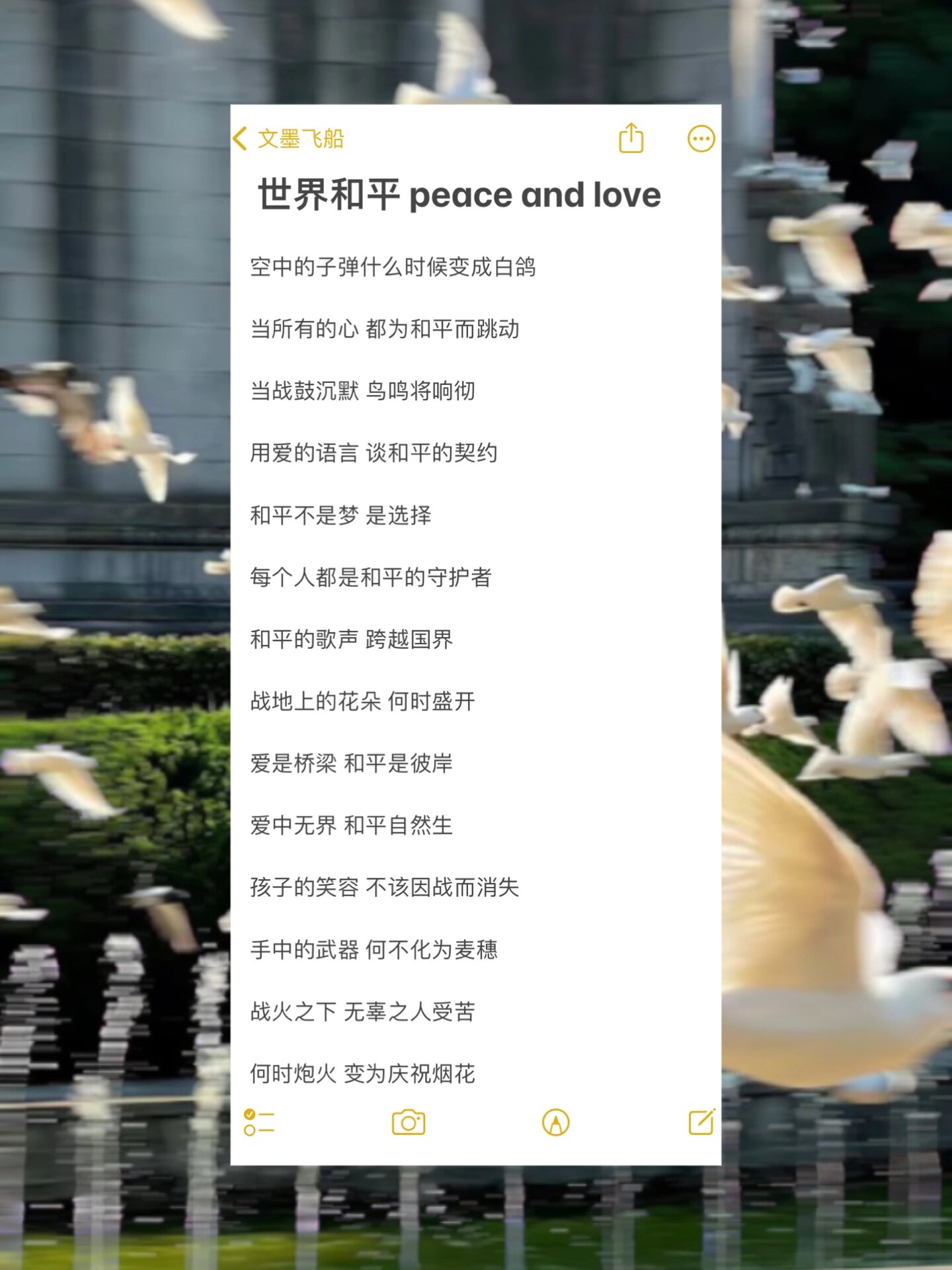 世界和平 peace and love