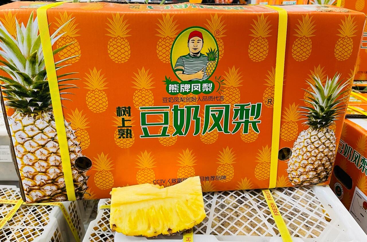 熊牌豆奶凤梨图片