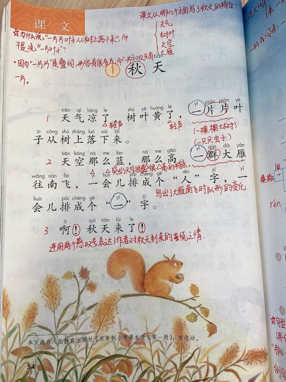 一年级上册语文《秋天》 #一年级# #一年级语文上册# #语文# #教师