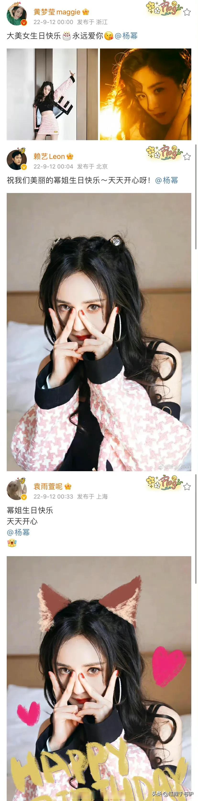 杨幂今天生日啊,不懂就问:杨幂的应援色是黄色么.