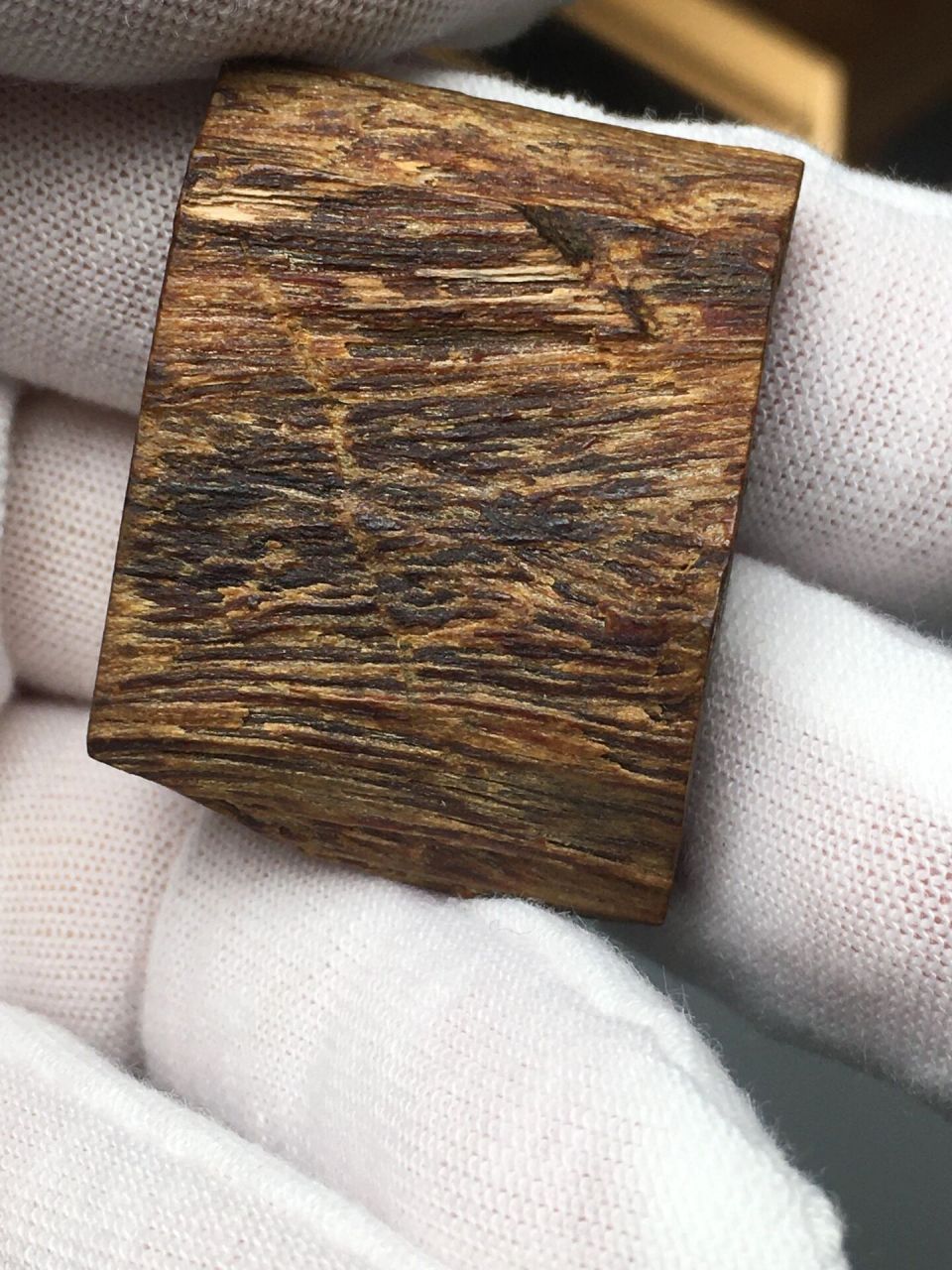 芽庄白奇楠 芽庄白奇楠 沉香只分三种,一种是芽庄白棋,一种是海南黑油