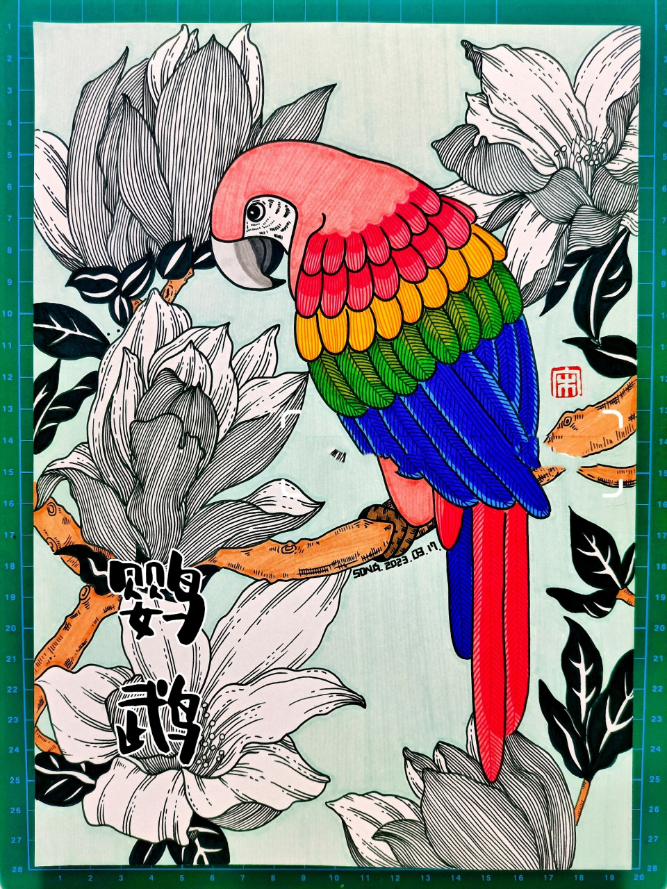 线描《玉兰·鹦鹉》 马克笔画儿童画-242 玉兰·鹦鹉           临摹