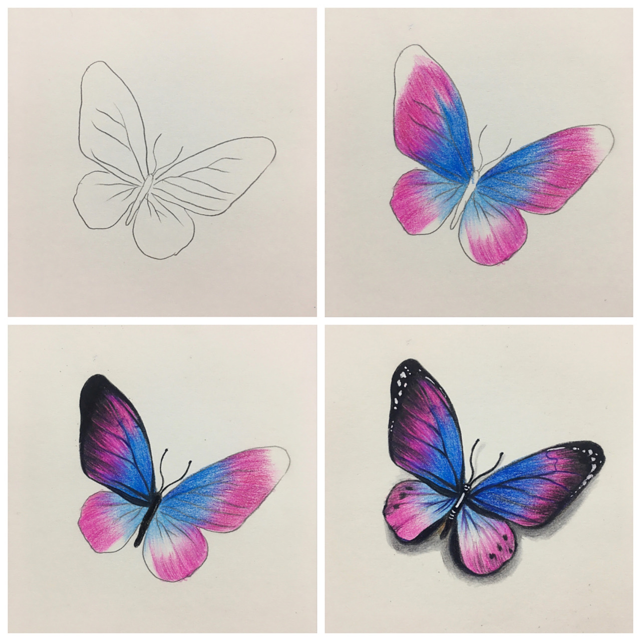 彩铅画,轻松学会的花蝴蝶(详细图文讲解) 绘画工具: 霹雳马油性彩铅笔