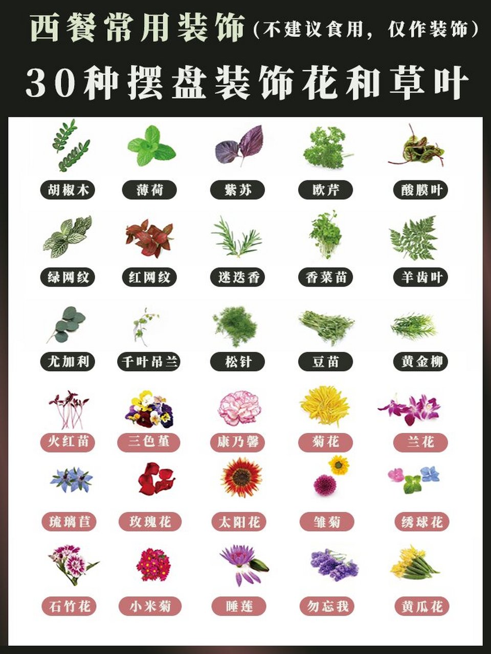 装盘点缀花草名称图片