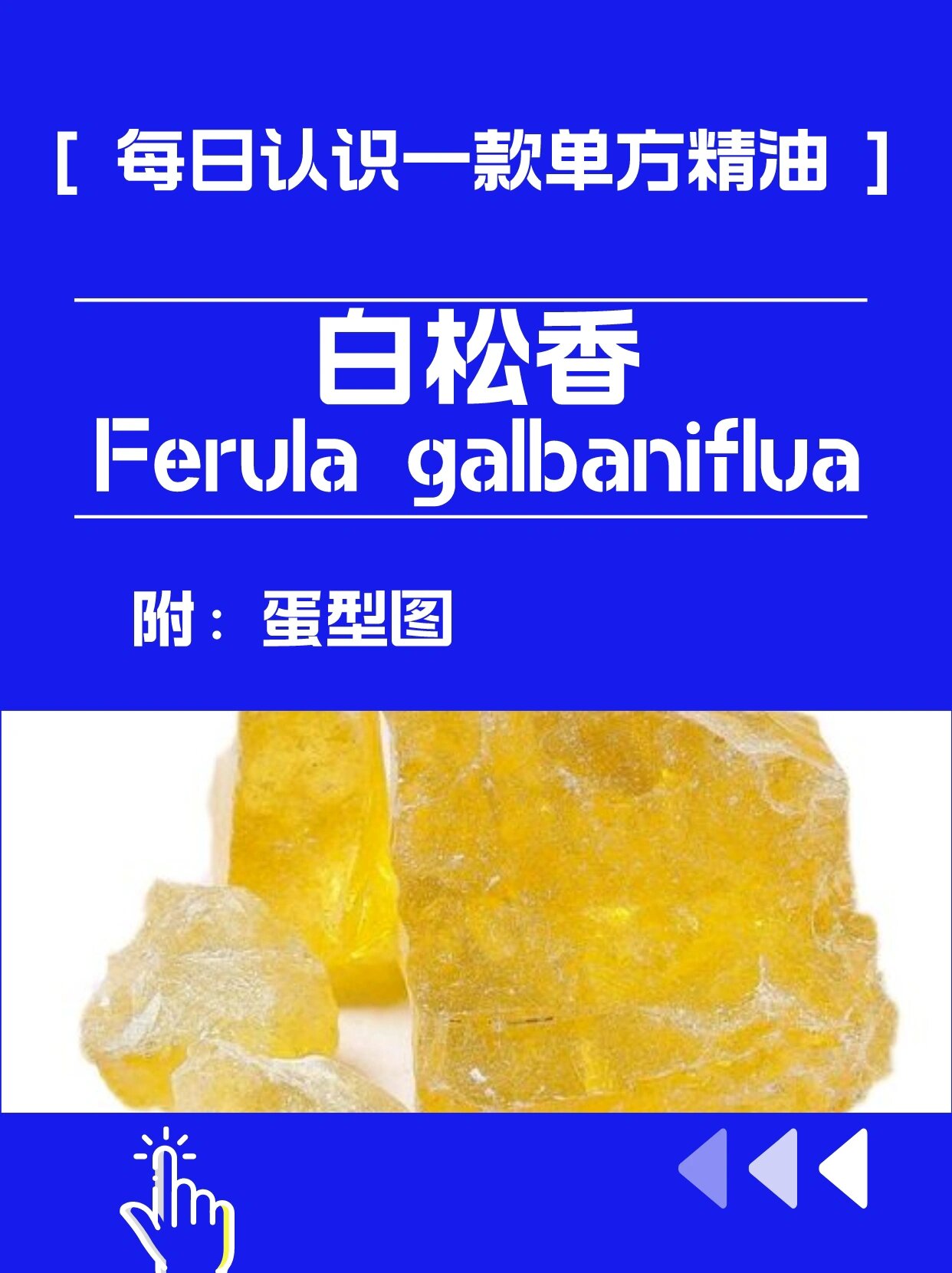 每日认识一款精油 |白松香 植物科属: 伞形科阿魏属 	 重要产地: 伊朗