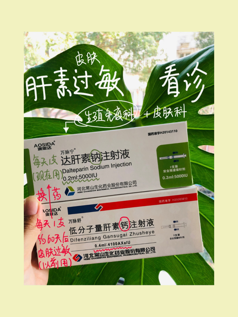 试管胚胎移植前4天开始用万脉舒(肝素钙),每天1支