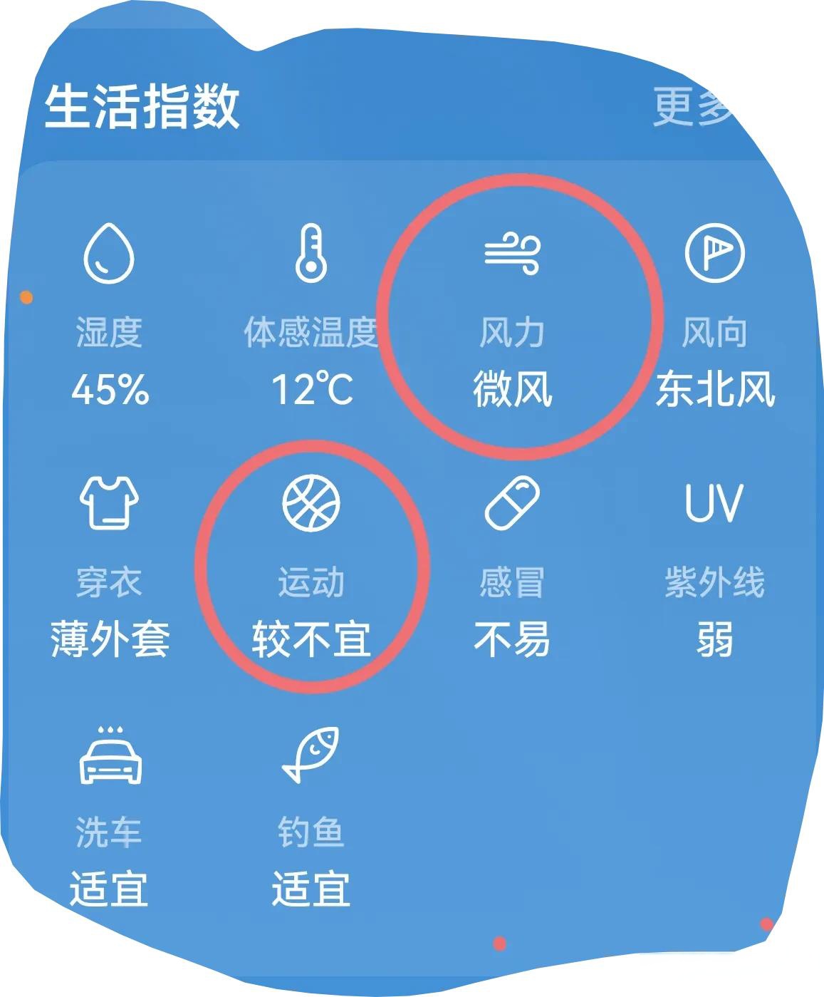 的百无聊婪缥裁丛谔炱けㄖ胁幌允臼戎甘露鹊  湿度大 风力大