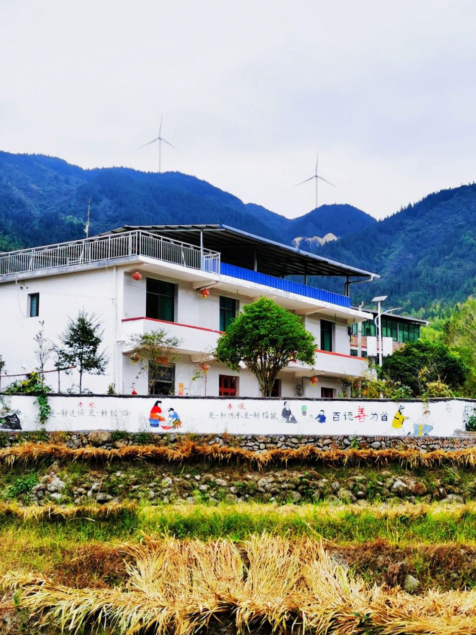 大洞村位于桂东县沤江镇东北部4公里,平均海拔1100米,因盛产红豆杉