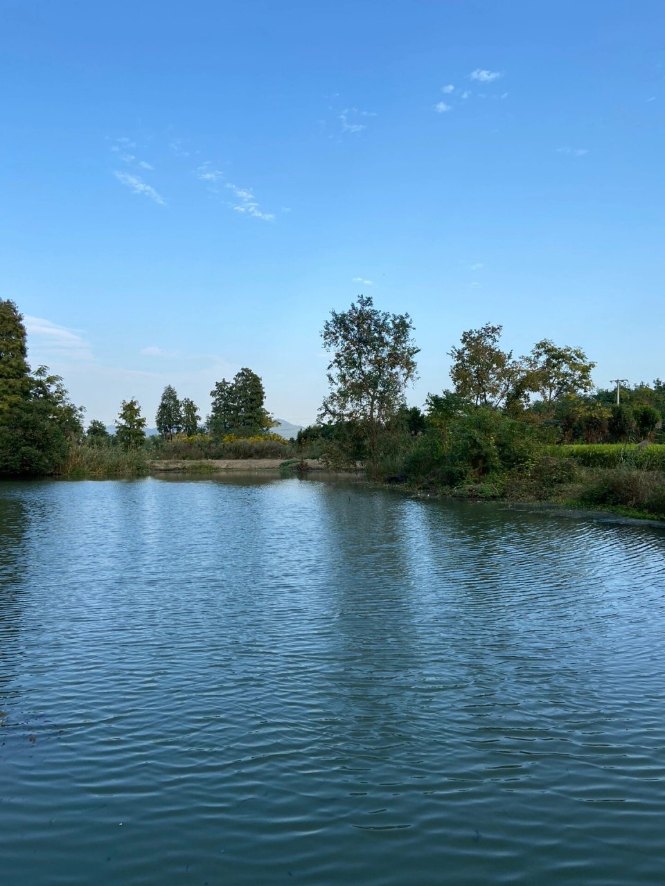 诸暨白塔湖湿地公园半日游 浙江诸暨白塔湖国家湿地公园,位于浙江省