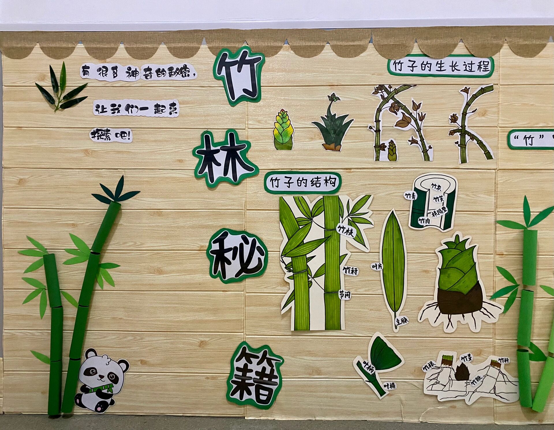幼儿园走廊环创—【竹子】博物馆探秘