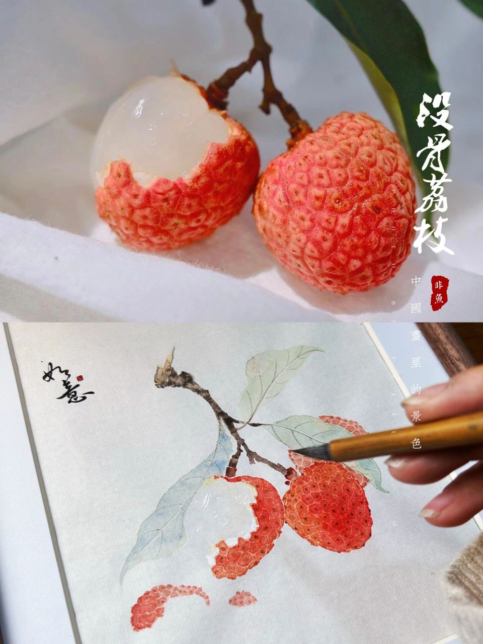 没骨荔枝的画法 内附步骤图!