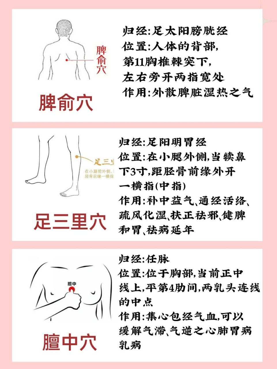 人体十大补气顺气穴位!气血畅通身心舒畅!