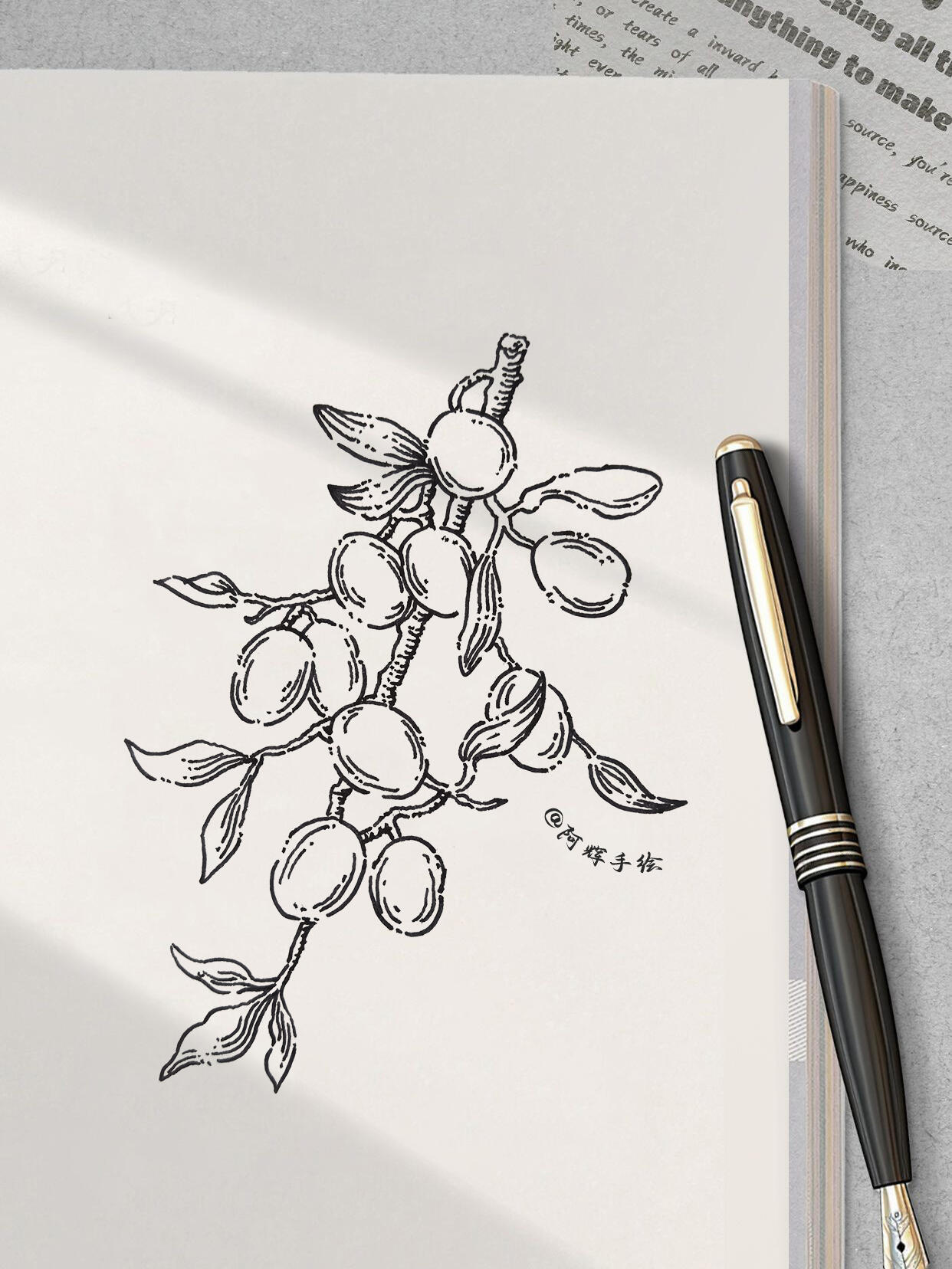 钢笔画冬枣