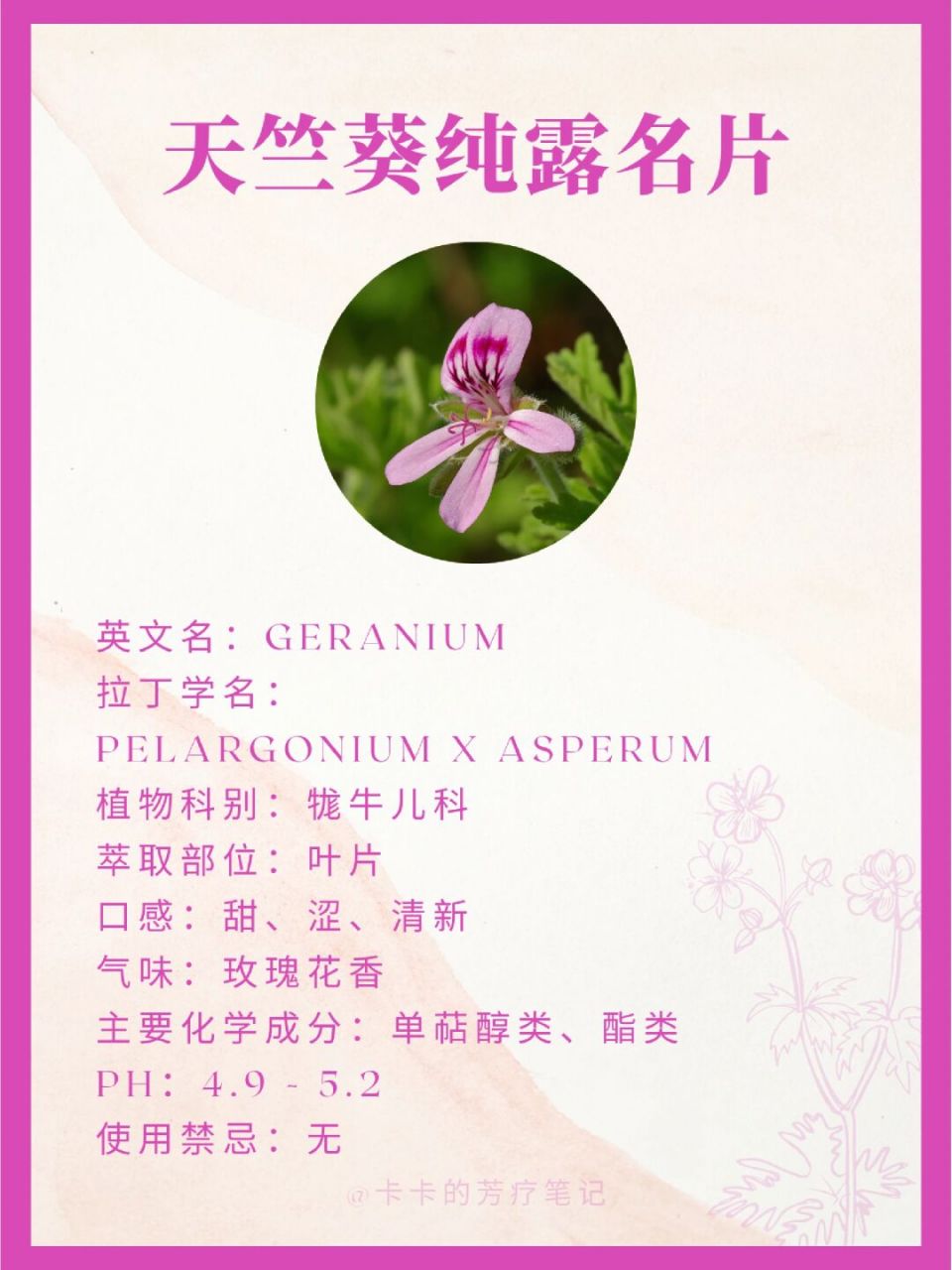 天竺葵纯露,平衡呵护吸引幸福!