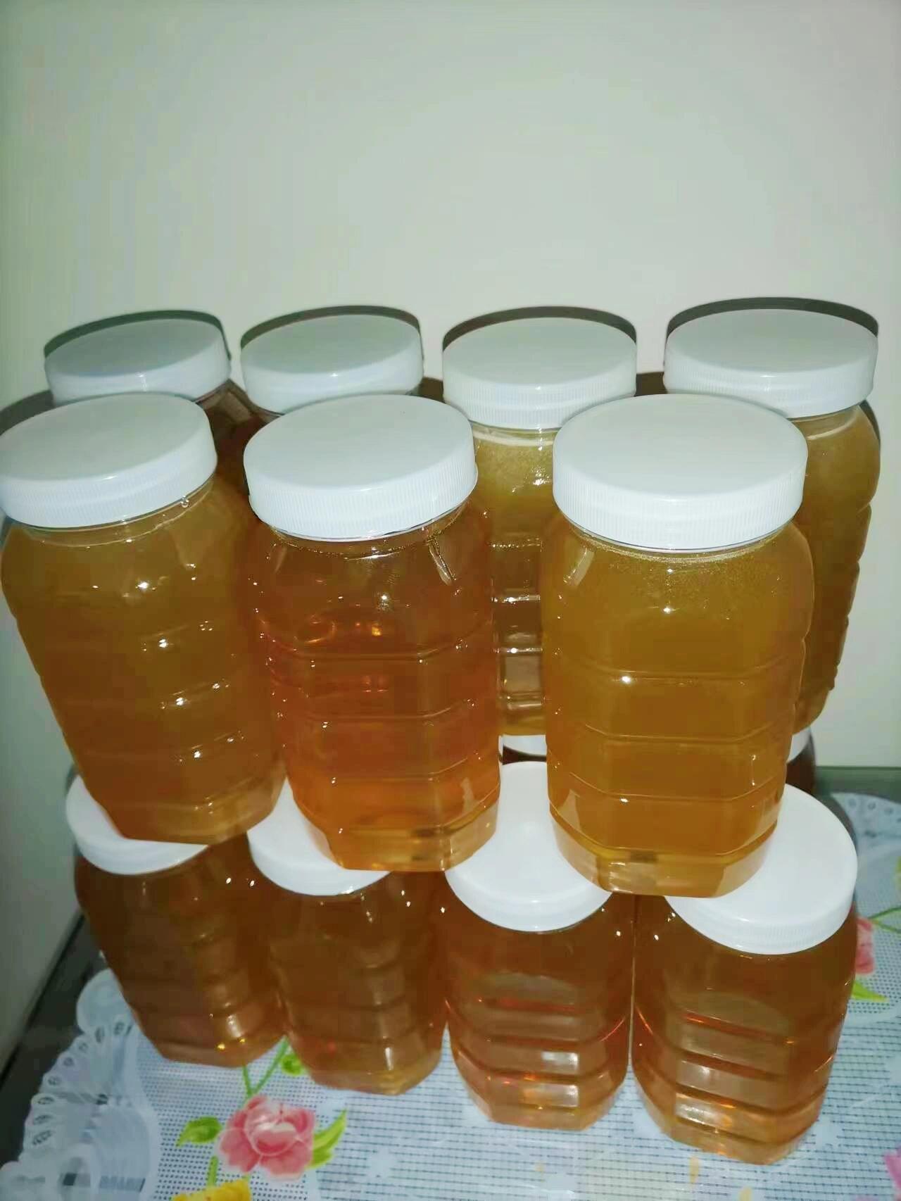 自己养的蜂蜜好吗(自己养的蜜蜂蜂蜜能直接吃吗)