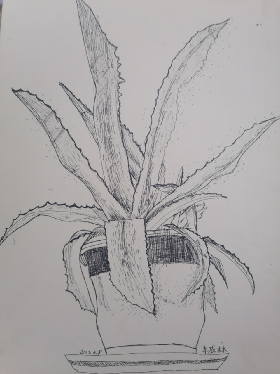 我小学四年级的绘画 第一张是我人生中第一副黑白画写生,那时我还记得