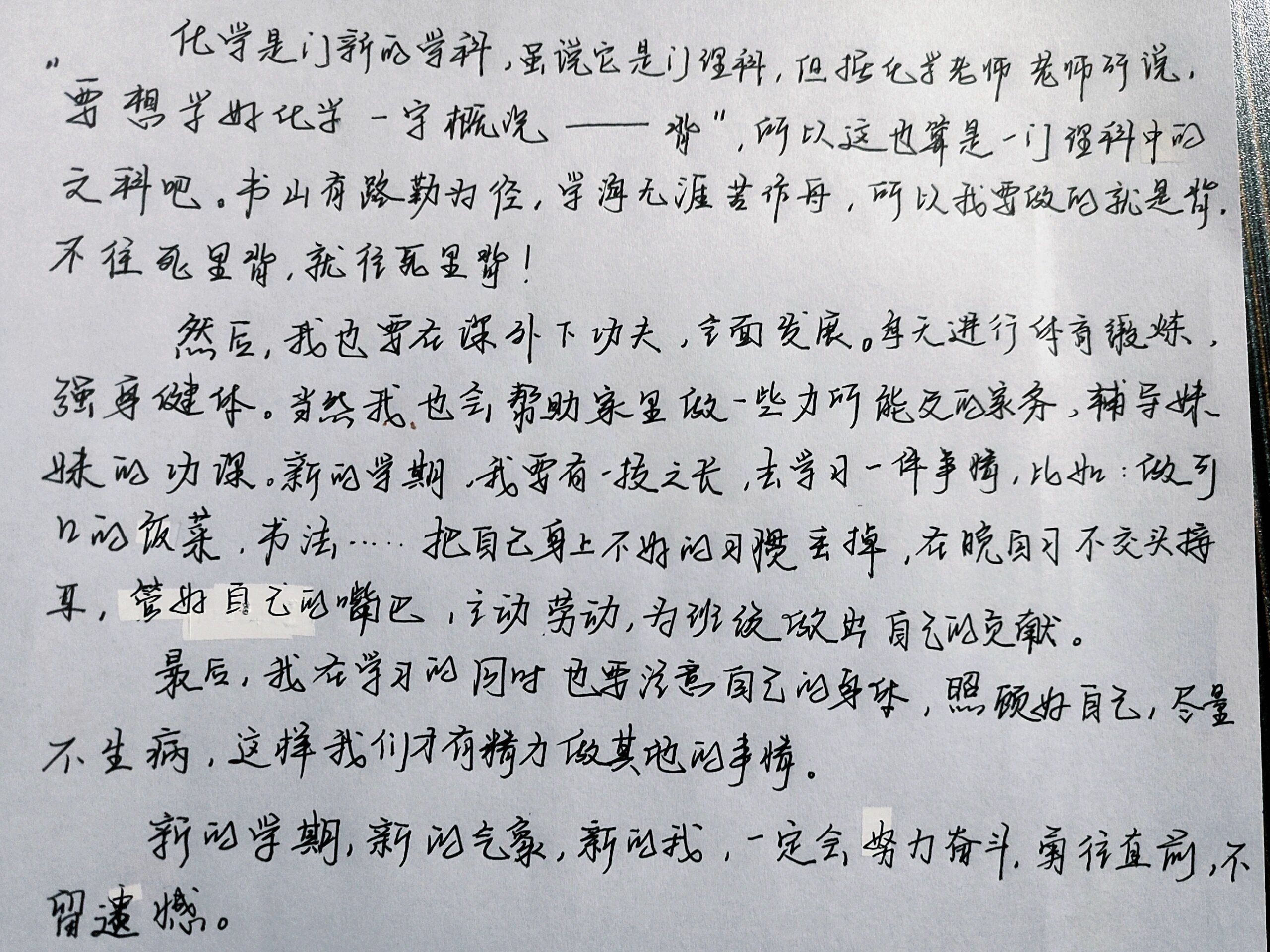 新学期的打算优秀作文