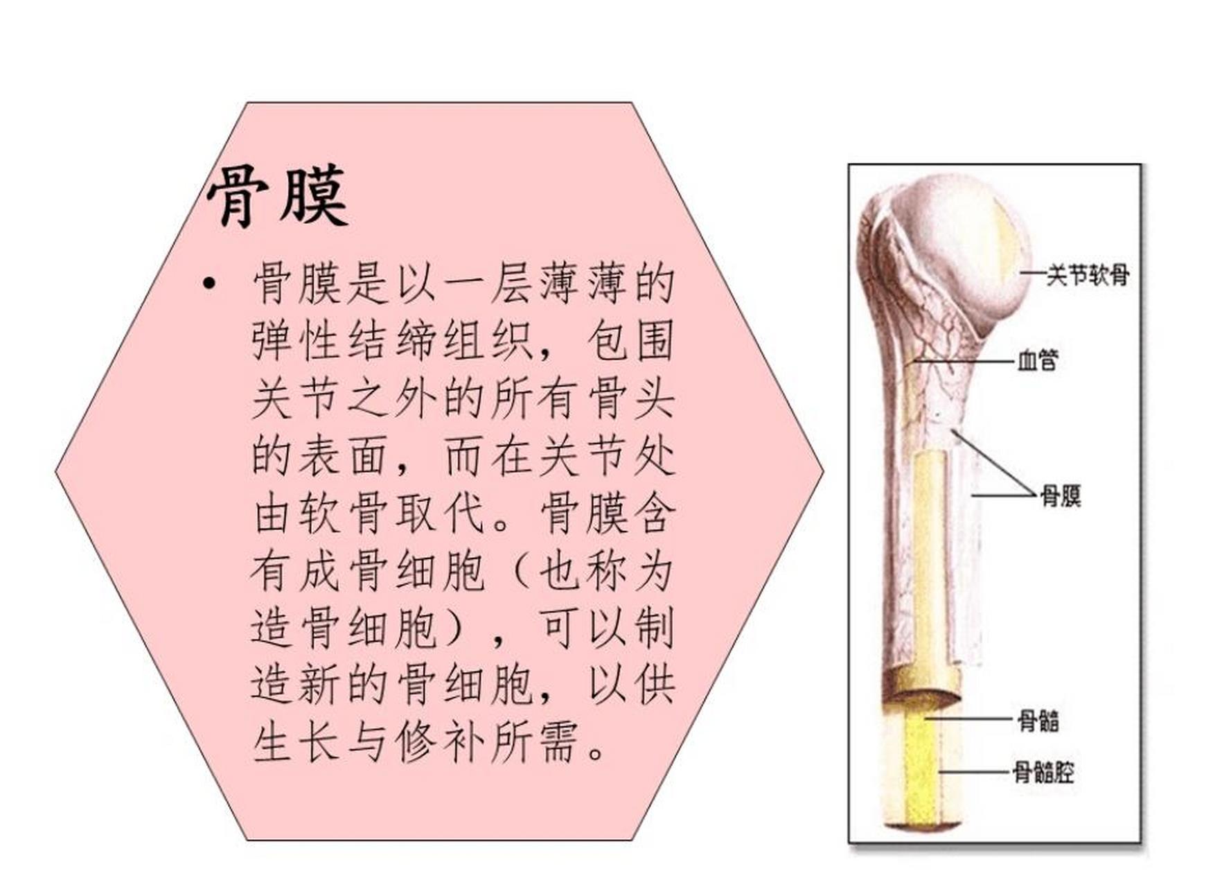 骨膜下血肿图片