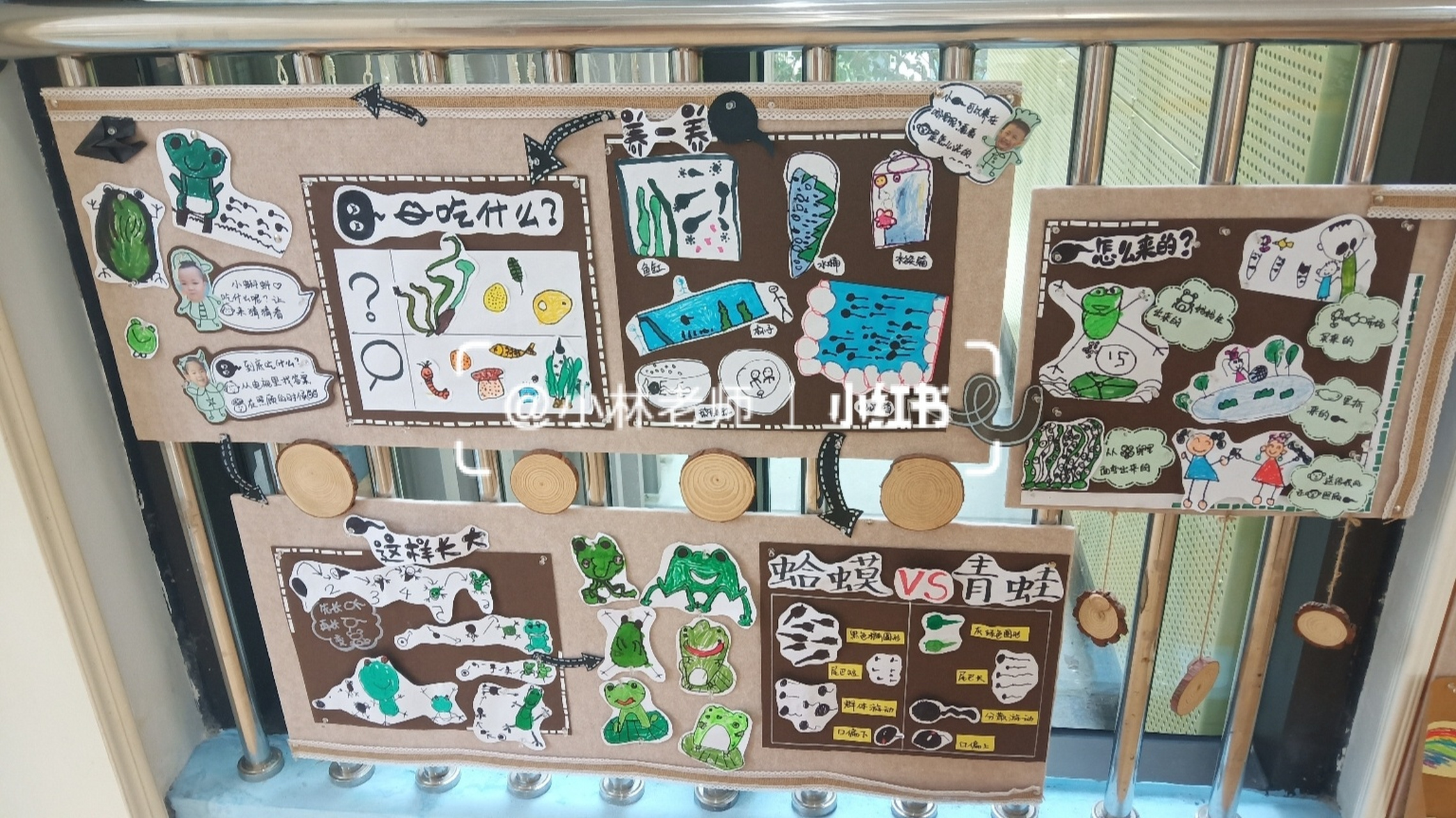 2是蝌蚪创生生成的主题墙 图3是植物角课程故事板块 2020学年第二学期