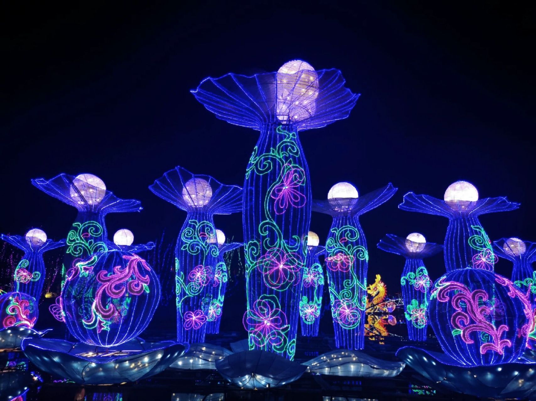 汾阳-贾家庄生态园 春节假期,汾阳市贾家庄特色大型灯会,吸引了游客前