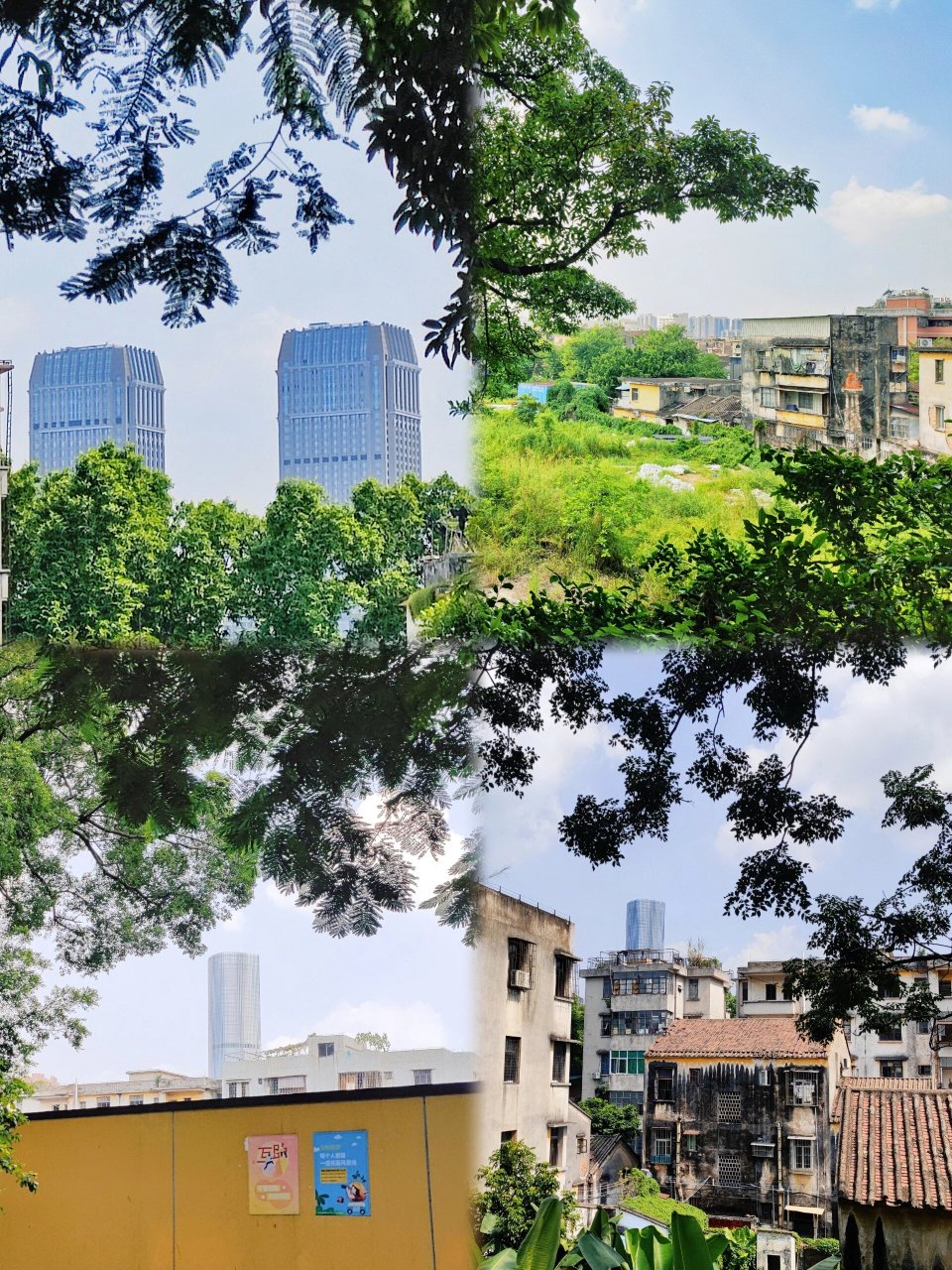 中山小众景点丨月山公园闲游记 在石岐城区一条孙文中路和太平路之中