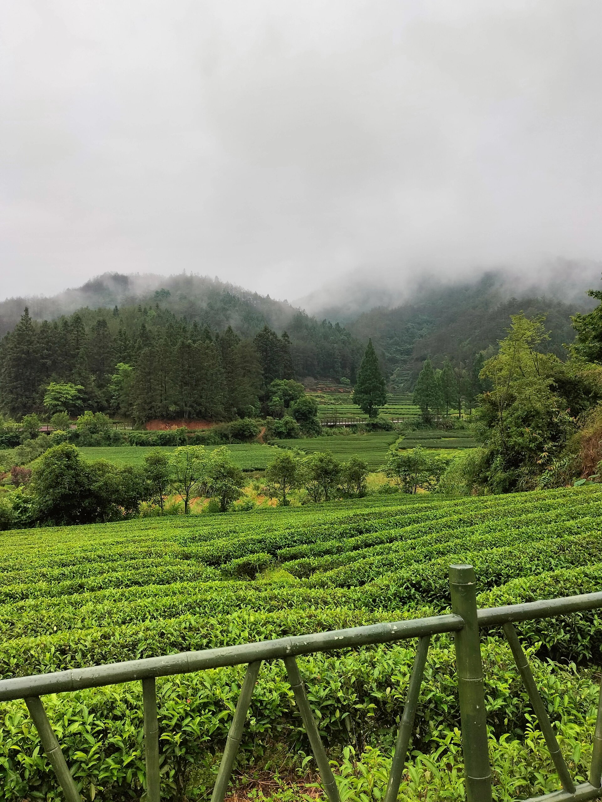 武夷山小众游览地燕子窠