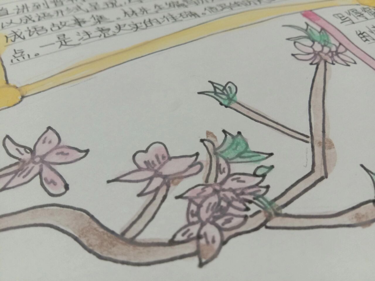 手抄报《林汉达中国历史故事集