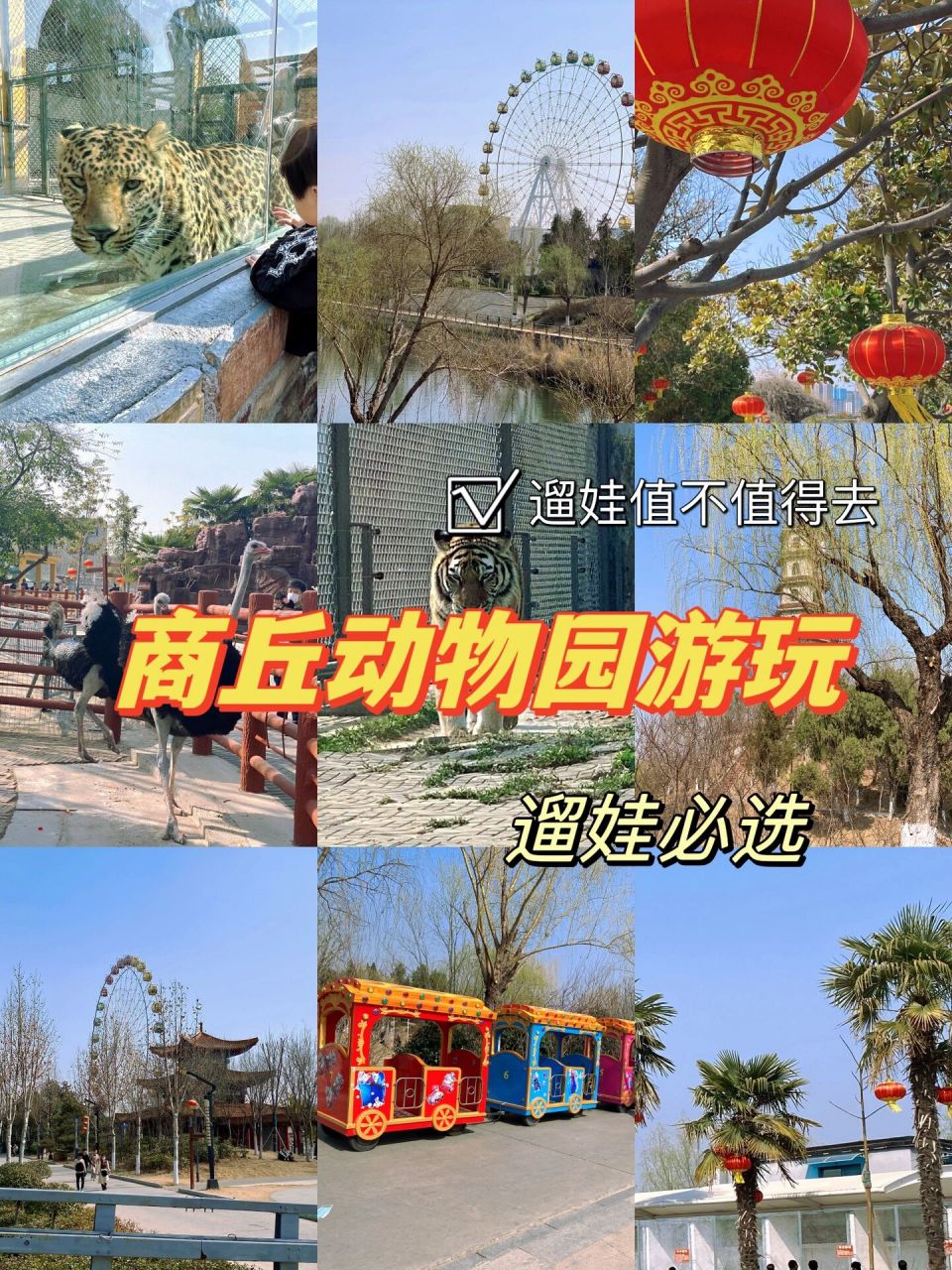 商丘动物园 |  装修了很久的动物园终于开园了,毫不犹豫就选择了,周末