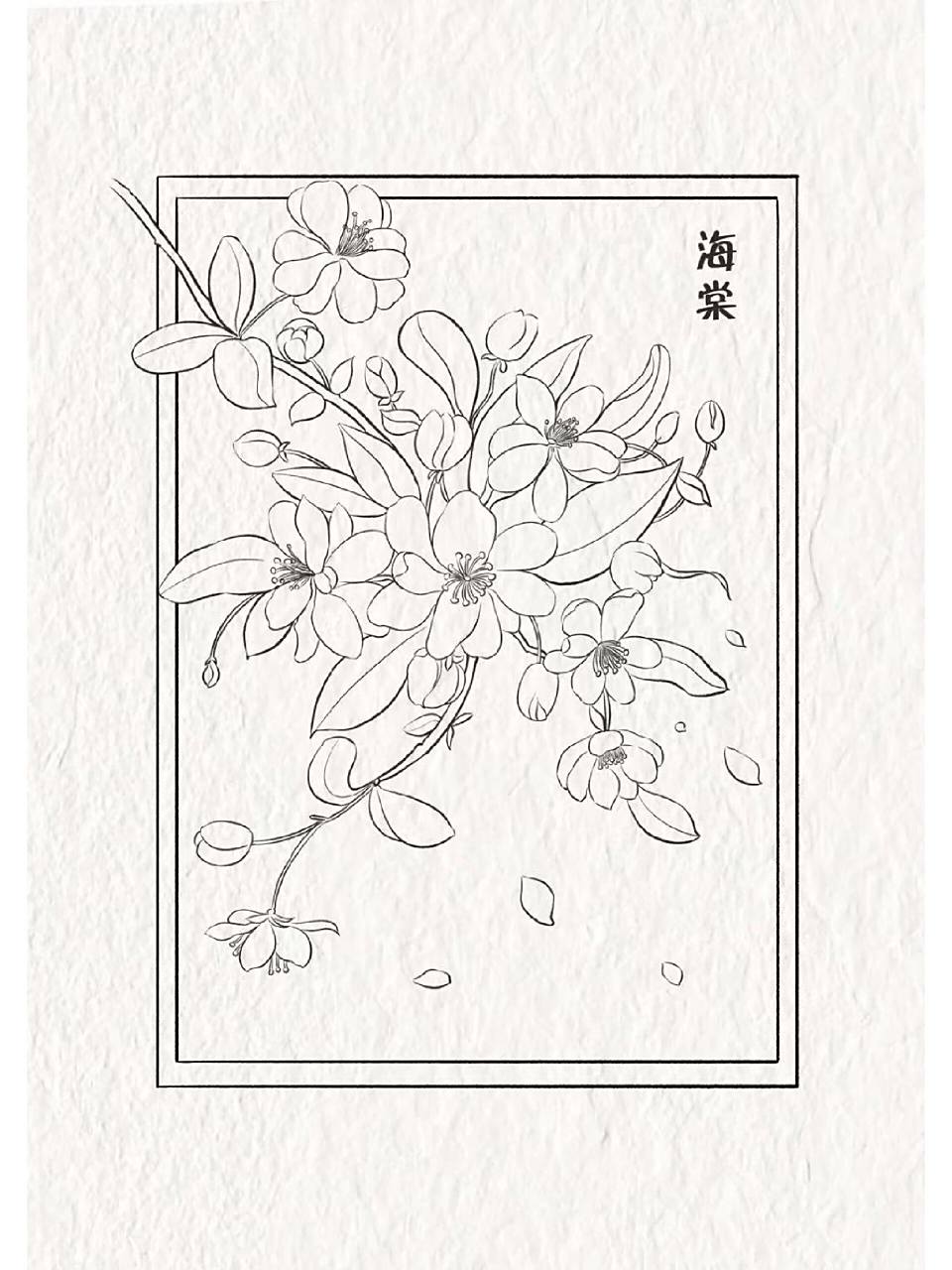 【37/100】海棠花线稿 春风不误,海棠依旧.