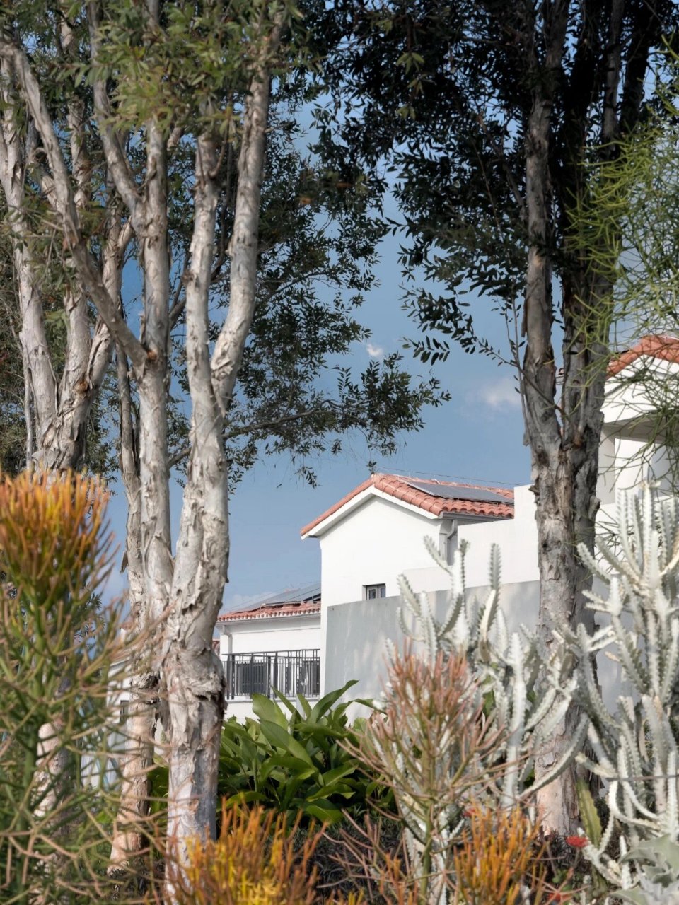 阿那亚·三亚 三亚的山处于两山之谷间,曲径通幽,这里看不见浩瀚的