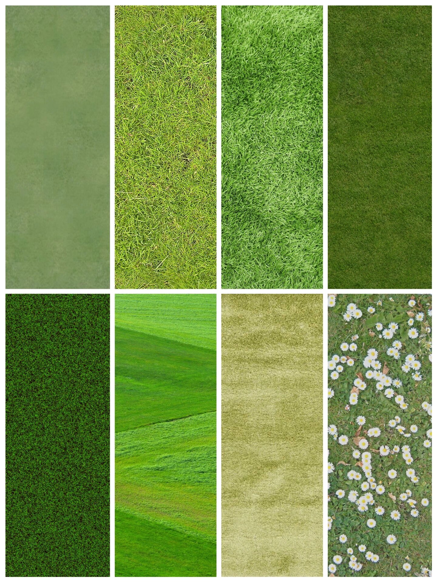 s006草坪草地贴图素材|高清贴图280款 280款高清草丛草皮草坪草地贴图