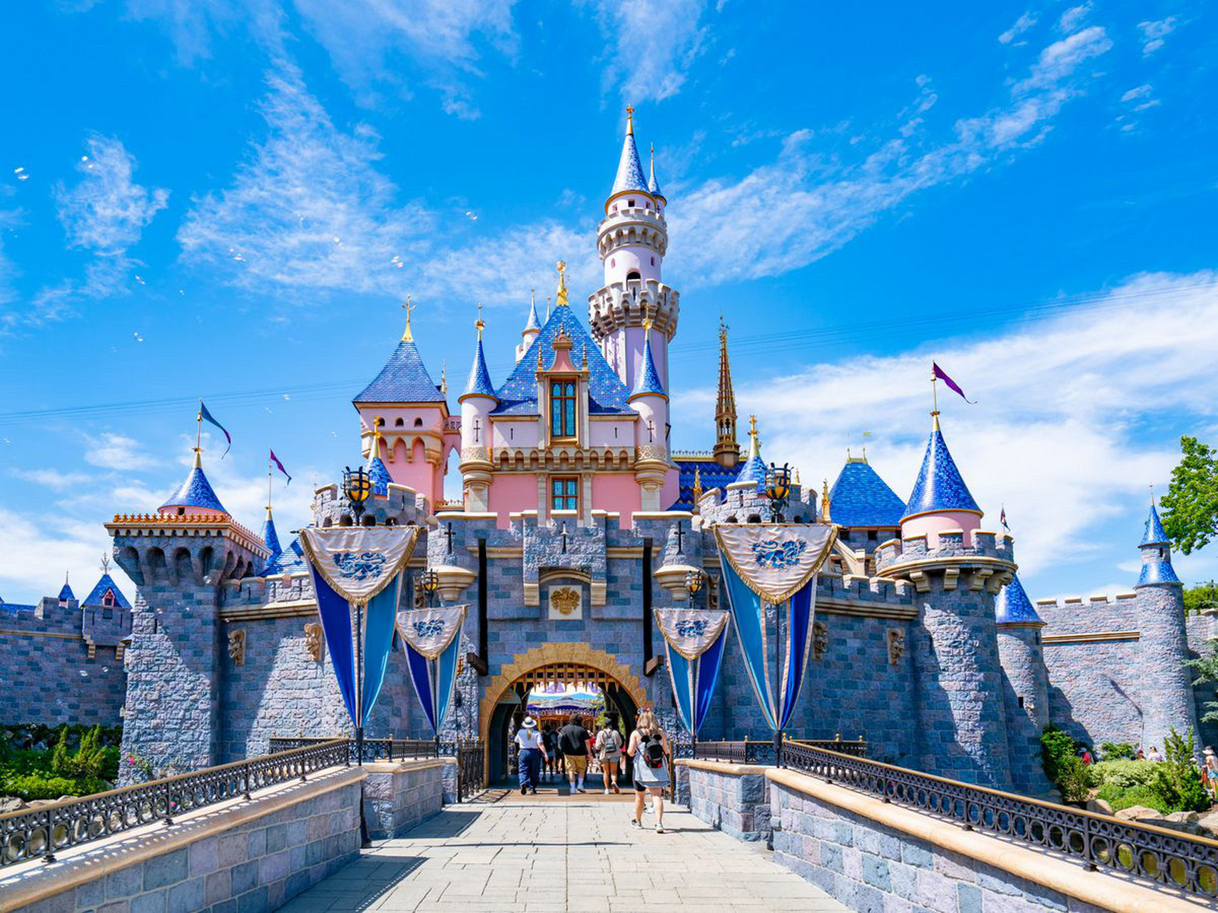 全世界的迪士尼城堡 你pick哪一个 sleeping beauty castle disney