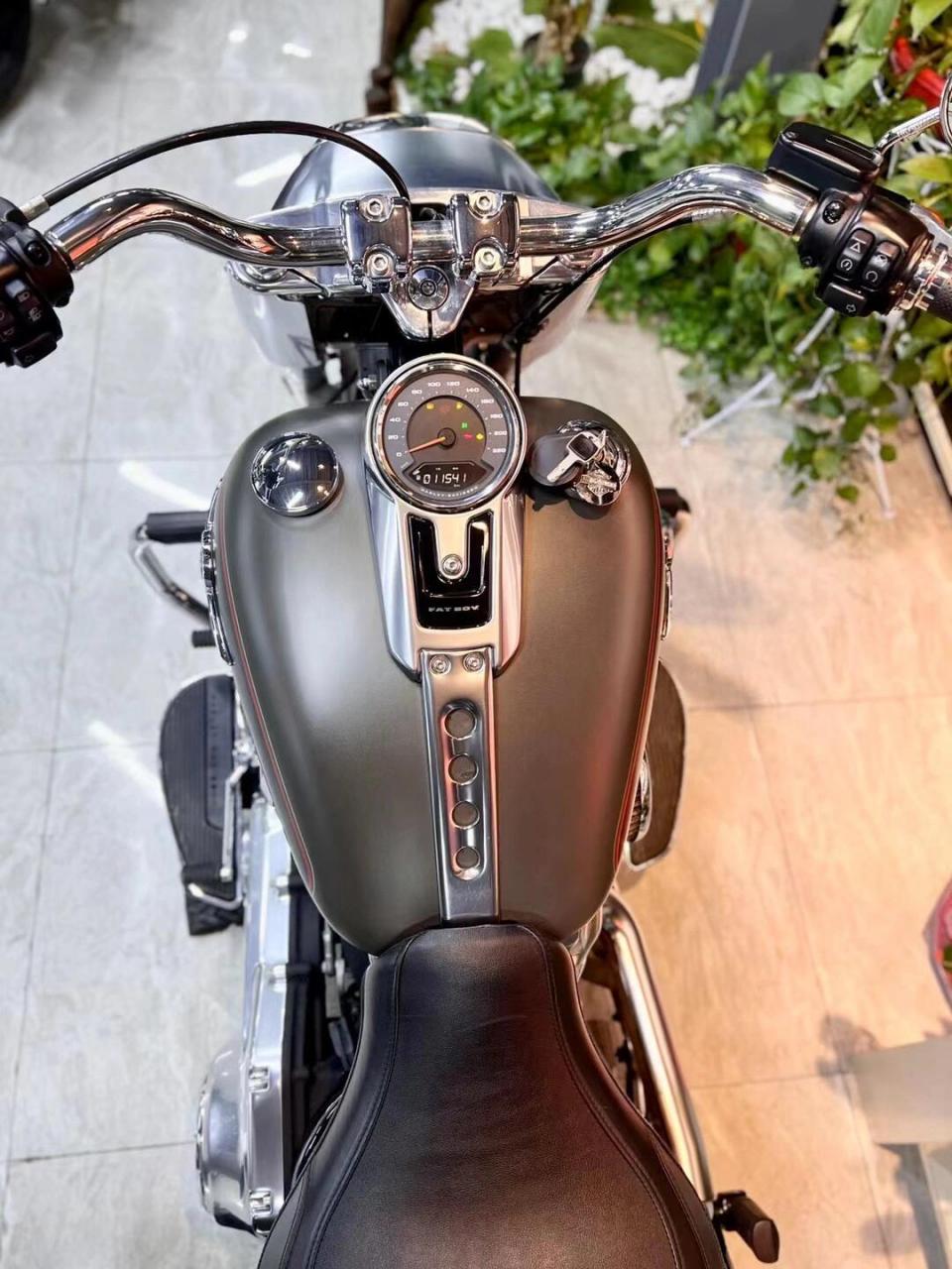 哈雷戴维森肥仔114 品牌: 哈雷戴维森 车型: 肥仔114 年份: 2019年8月