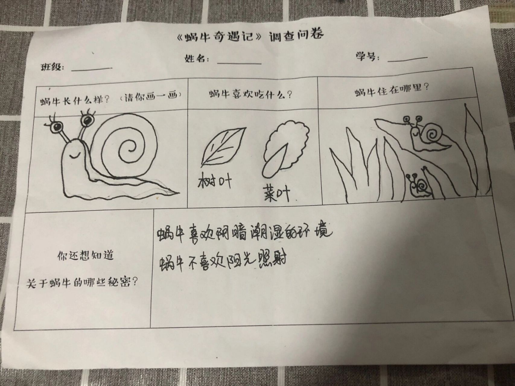  蜗牛奇遇记>调查问卷 幼儿园小班小朋友的蜗牛调查问卷,可以收图啦