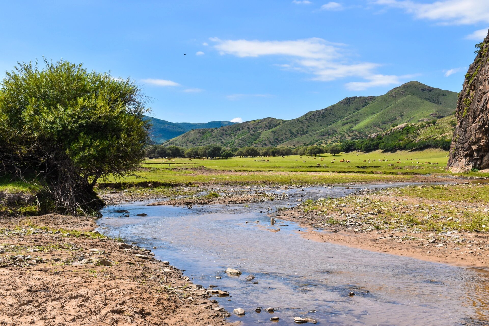 大兴安岭余脉的绿丝带 扎鲁特草原是立体的,她位于内蒙古通辽市北部