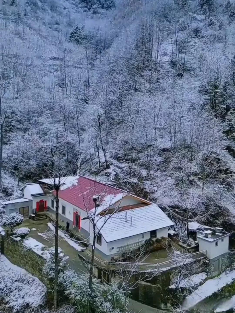 下雪农村山上图片图片