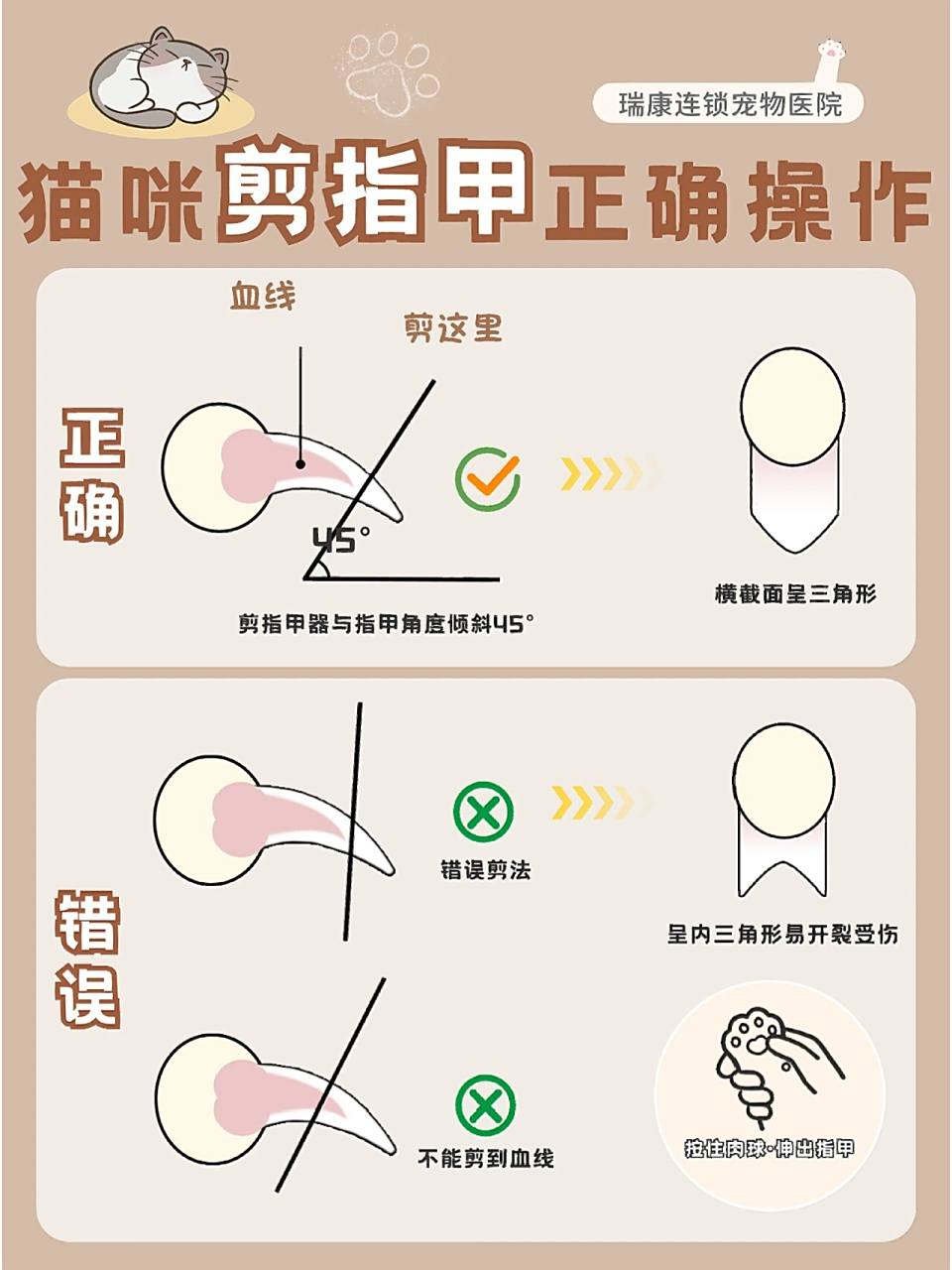 正确给猫咪剪指甲93一图搞定!