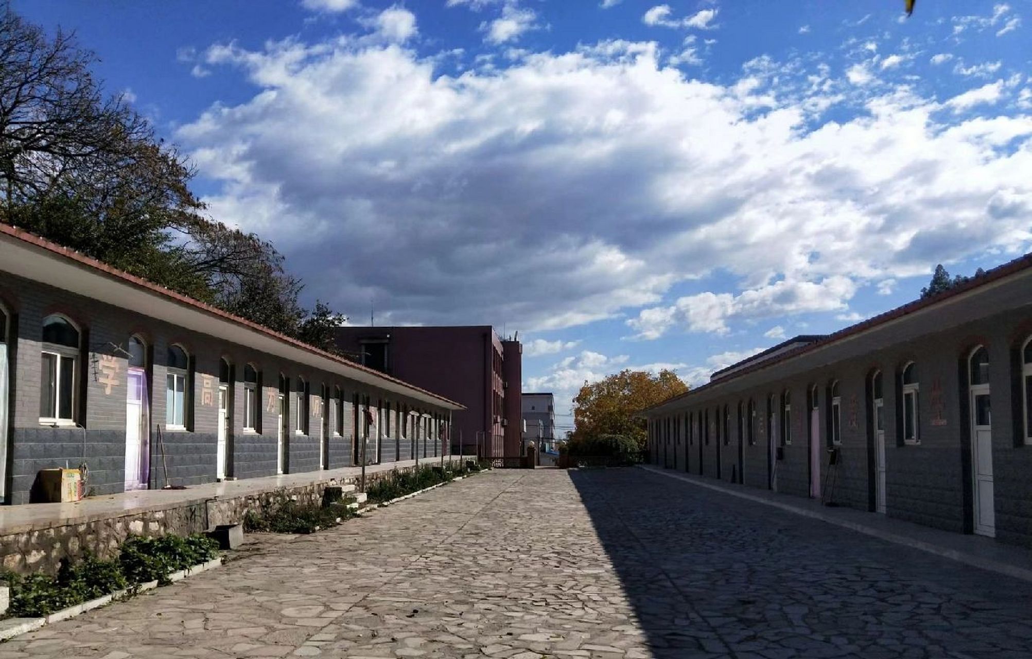 母校——河北省丰润县车轴山中学 车中的秋, 艳丽,端庄.