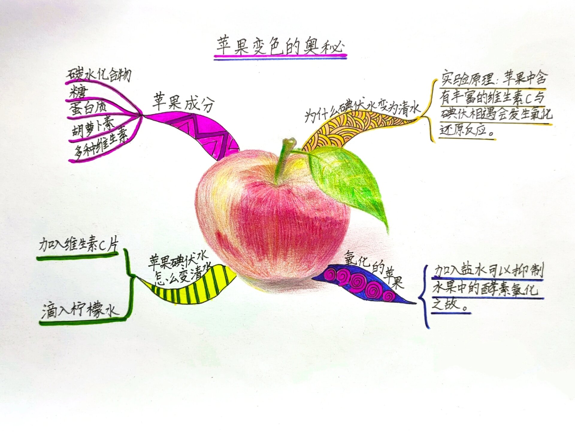 写苹果的思维导图图片