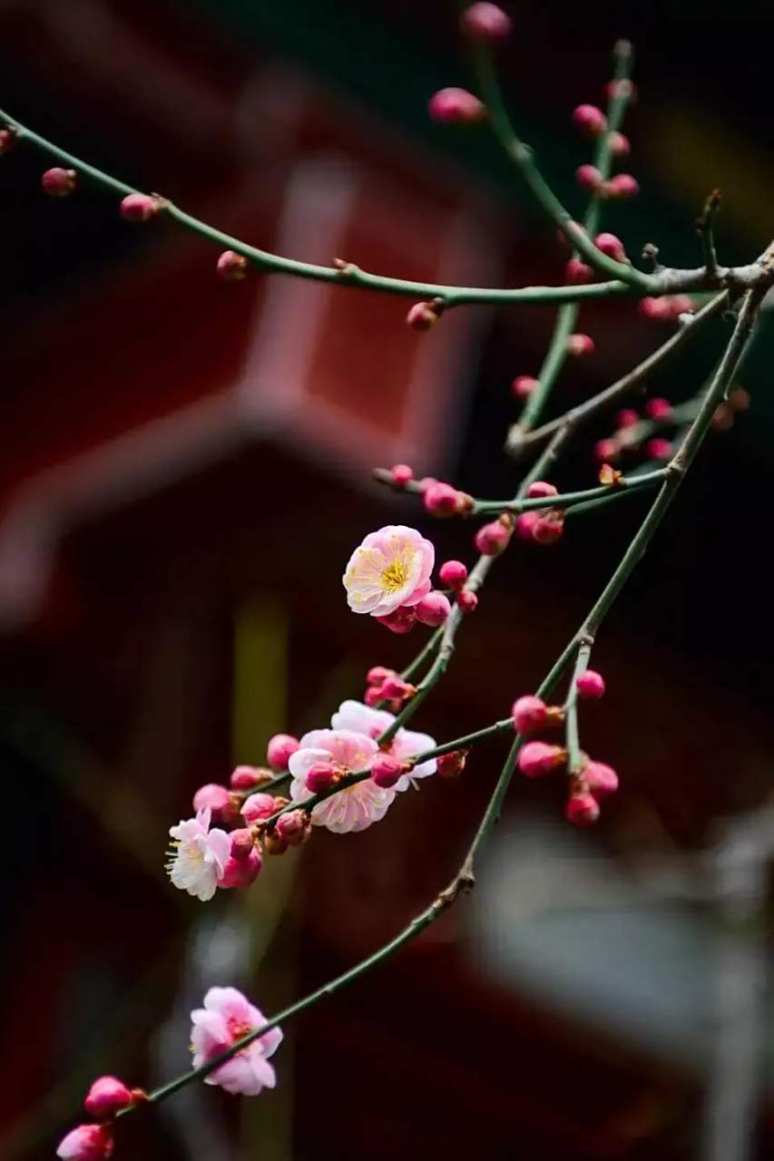今日头条下载到卓面(手机今日头条下载的安装包在什么位置)